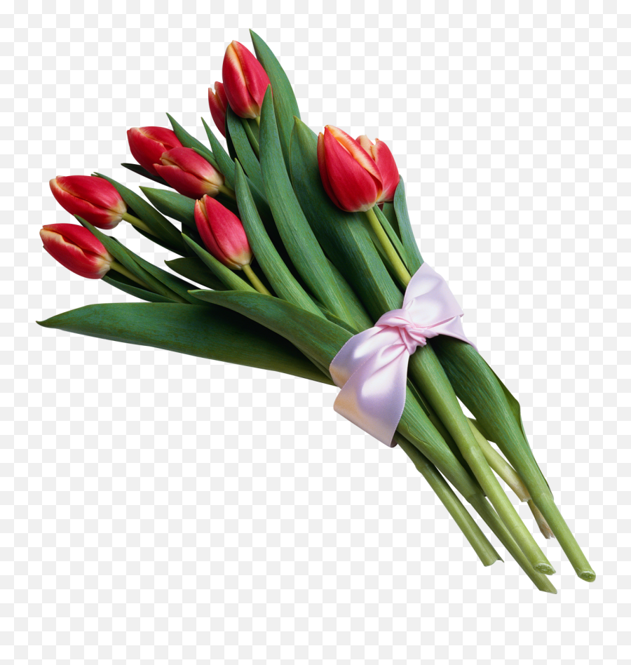 Tulip Pictures - Bouquet Of Flowers Transparent Background Emoji,Flower Bouquet Emoji