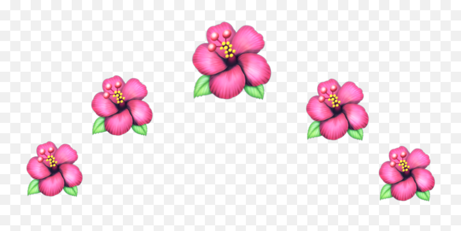 Flower - Hawaiian Flower Crown Emoji,Daisy Emoji