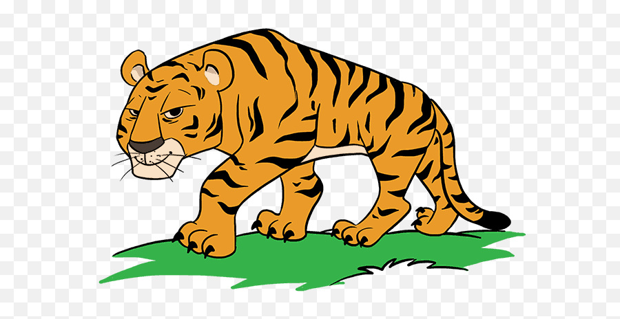 Cartoon Tiger In A Few Easy Steps - Cartoon Tiger Drawing Emoji,Clemson Tiger Paw Emoji