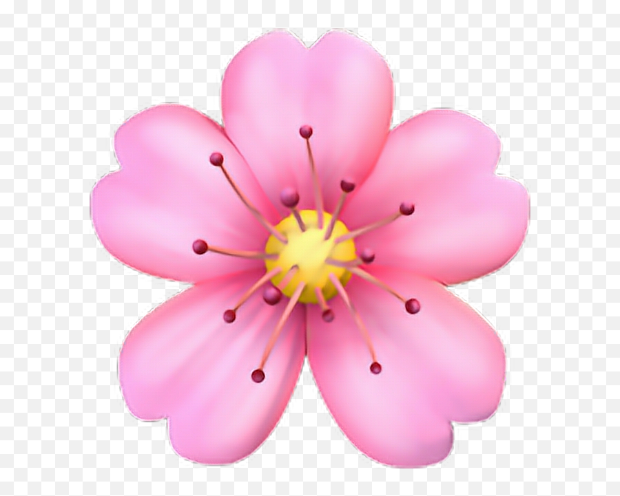 Png Emoji Flower Iphone - Iphone Cherry Blossom Emoji,Png Emoji