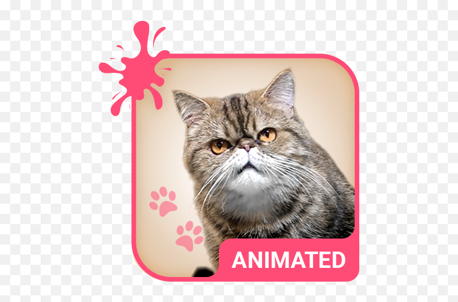 Grumpy Animated Keyboard Live - Imagem De Leão De Fogo Emoji,Grumpy Cat Emoji Android