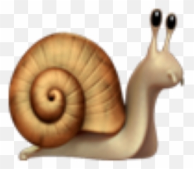 Niche Emojistickers Sticker Freetoedit - Emoji Caracol Ios,Snail Emoji