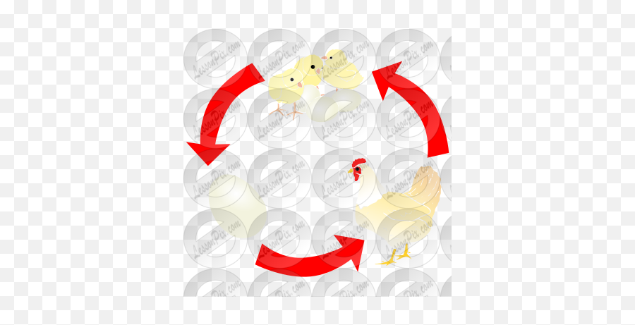 Chicken Life Cycle Stencil For Classroom Therapy Use - Clip Art Emoji,Chicken Emoticon