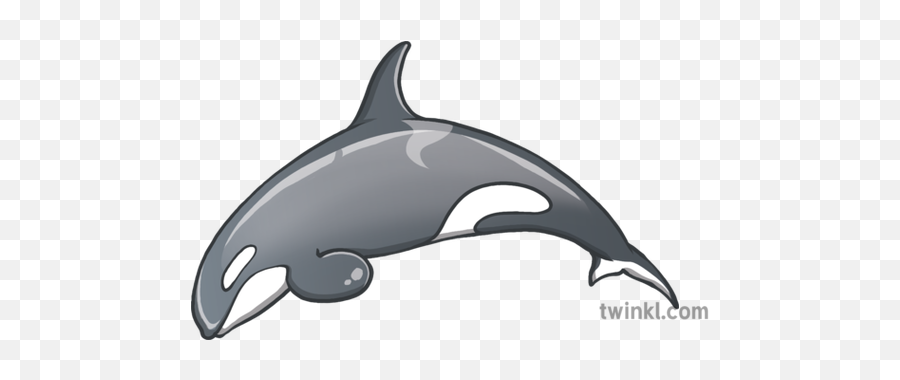 Marine Life Emoji Whale Orca Newsroom Ks2 Illustration - Killer Whale,Whale Emoji