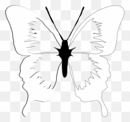 Lace Butterfly Iphone Background Transparent Cartoon - Jingfm Epidermolysis Bullosa Red Emoji