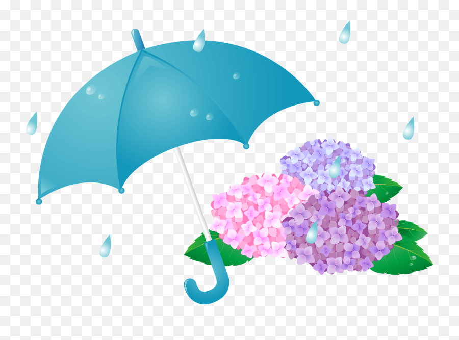 Rain On The Hydrangeas And Umbrella Clipart Free Download - Rain Flowers And Umbrella Clip Art Emoji,Rain Emoticon
