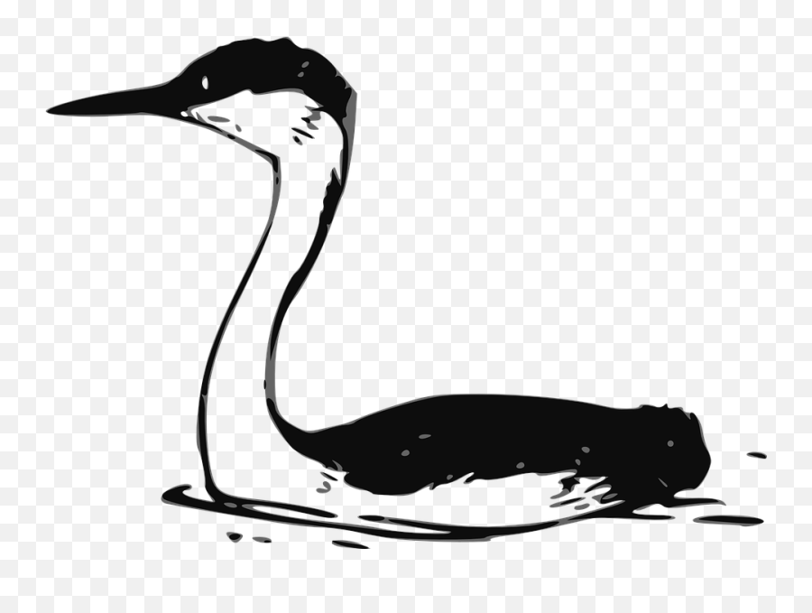 Free Native Indian Vectors - Grebe Clipart Emoji,Letter Emojis