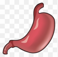 Stomach Medicine Top - Clip Art Emoji