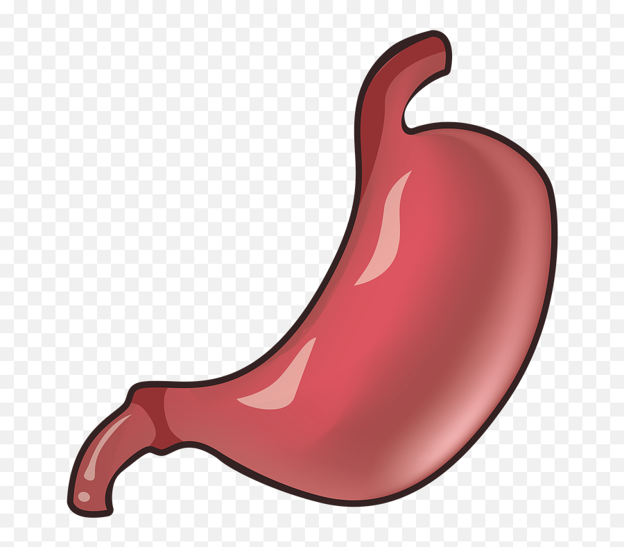 Stomach Medicine Top - Clip Art Emoji,Red Pill Emoji