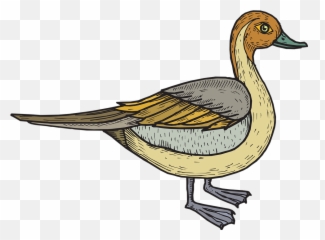 Free Duck Bird Vectors - Bebek Vektor Emoji,Duck Emoticon Text