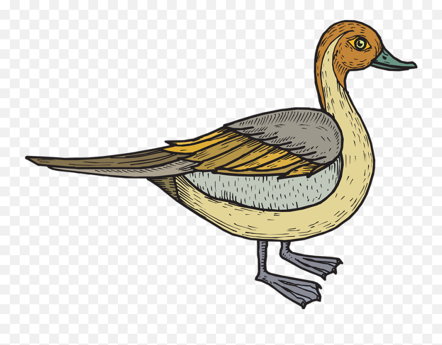 Free Duck Bird Vectors - Bebek Vektor Emoji,Duck Emoticon Text