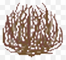 Top Tumbleweed Animated Gif Stickers - Tumbleweed Gif Transparent Background Emoji,Tumbleweed Emoticons
