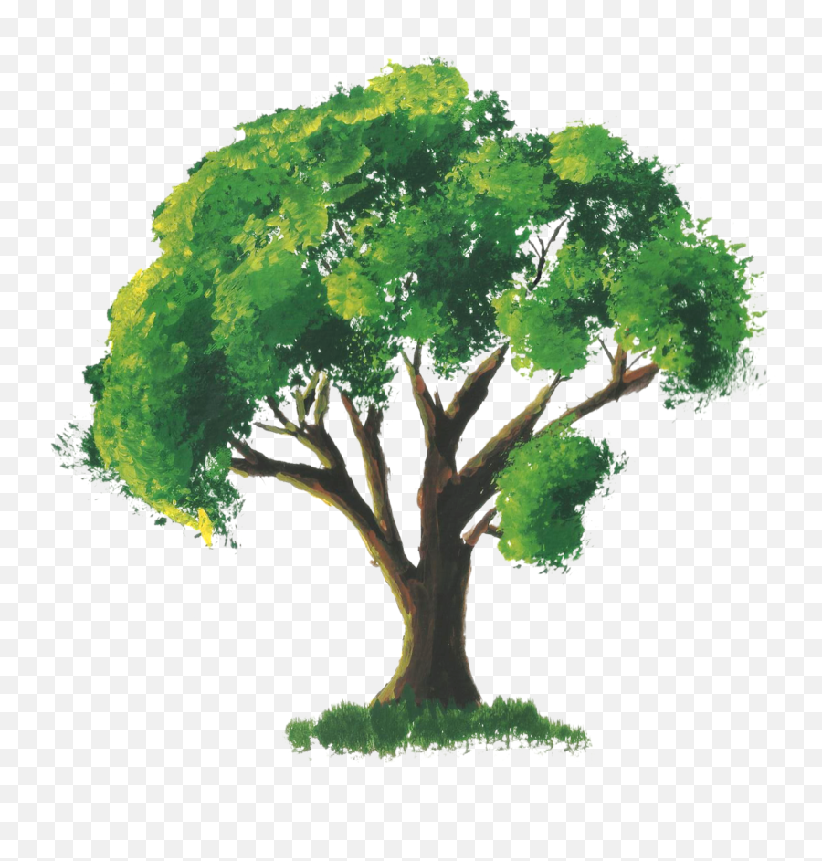 Pokémon Open Kanto Back To Basics M - The Pokécommunity Tree Drawing With Color Emoji,Sighing Emoji