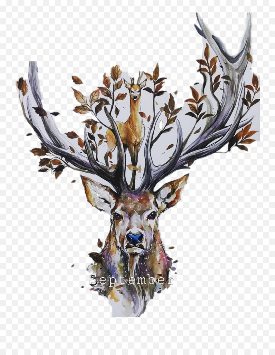 Scseptember September Apppppus Deer - Conflict Of Human And Wildlife Painting Emoji,Deer Hunting Emoji