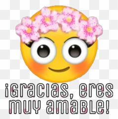 Color Stickers - Smiley Emoji,Kika Emoji