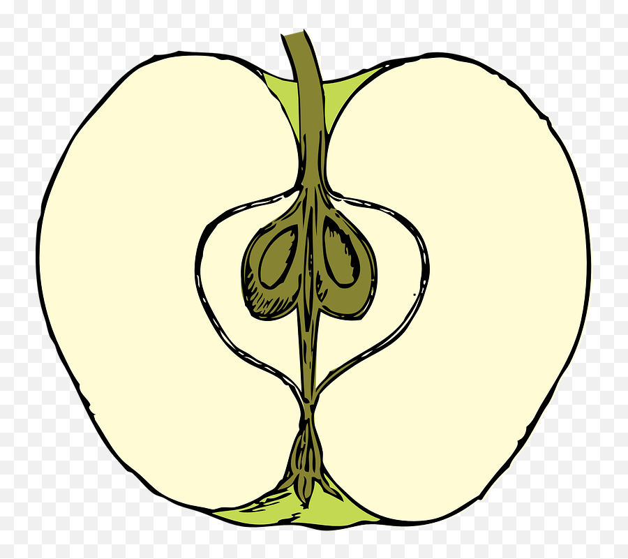 Free Green Apple Apple Illustrations - Section Of Apple Fruit Emoji,Avocado Emoji