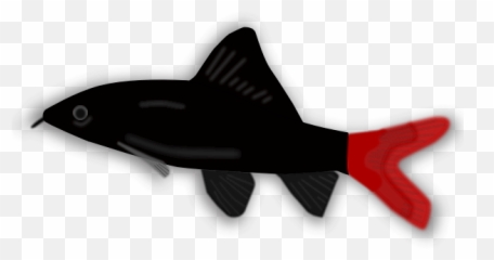 Aquarium Fish - Cold Water Emoji