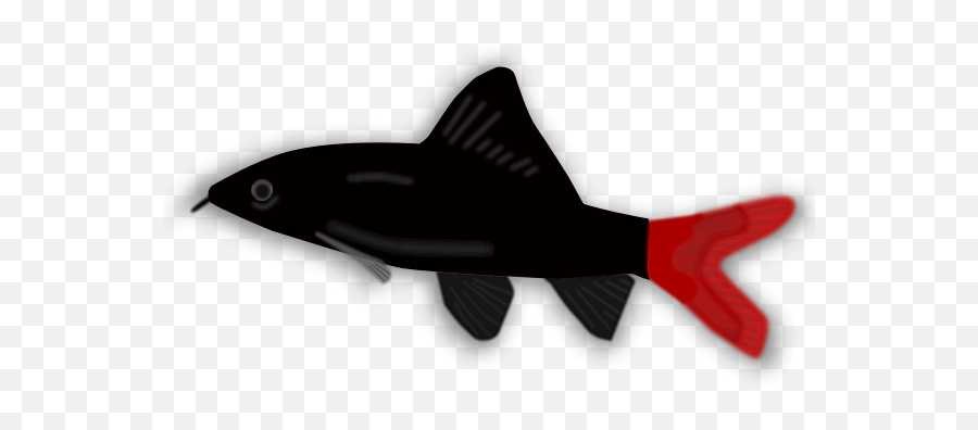 Aquarium Fish - Cold Water Fish Emoji,Fish Hook Emoji