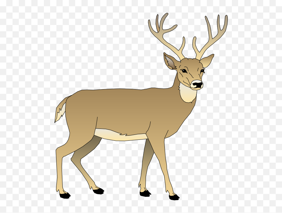 Stag Vector Whitetail Deer Transparent - White Tailed Deer Clipart Emoji,Whitetail Deer Emoji