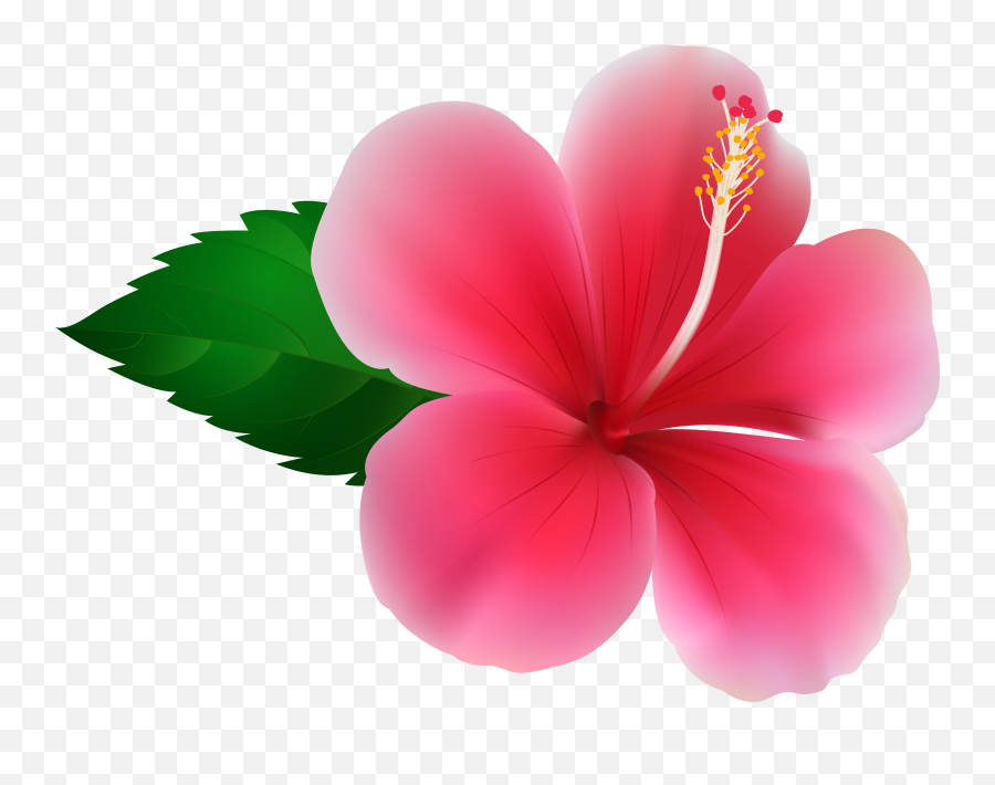 Pink Hibiscus Flower Clipart - Clipart Hibiscus Emoji,Hibiscus Emoji