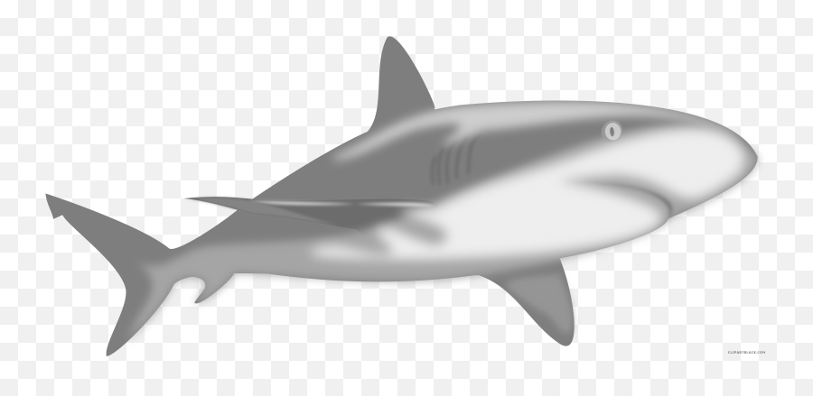 Free Clipart Shark Free Shark Transparent Free For Download - Shark In A Water Transparent Emoji,Shark Fin Emoji