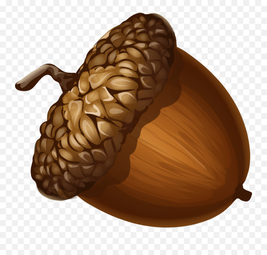 Acorn Png Sticker - Acorn Transparent Background Emoji,Acorn Emoji