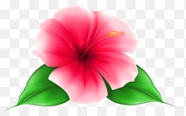 Download Flower Pictures Png Files - Transparent Background Flower Clipart Emoji,Hawaiian Flower Emoji
