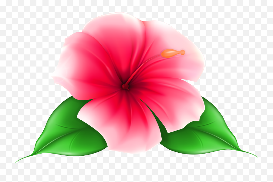 Download Flower Pictures Png Files - Transparent Background Flower Clipart Emoji,Hawaiian Flower Emoji