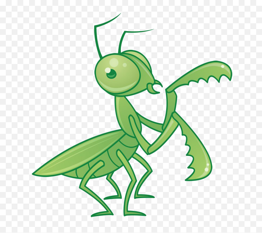 Mantis Png Transparent Images Png All - Praying Mantis Cartoon Emoji,Mosquito Emoji
