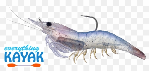 Shrimp Live Transparent Png Clipart - Litopenaeus Setiferus Emoji