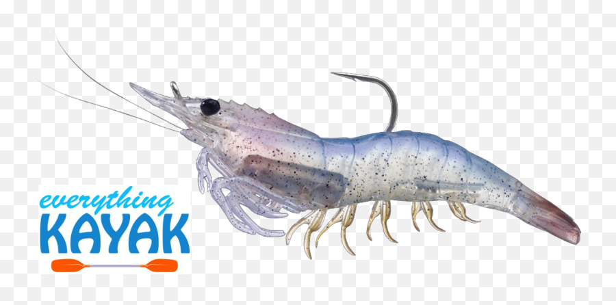 Shrimp Live Transparent Png Clipart - Litopenaeus Setiferus Emoji,Emoji Tiger Shrimp