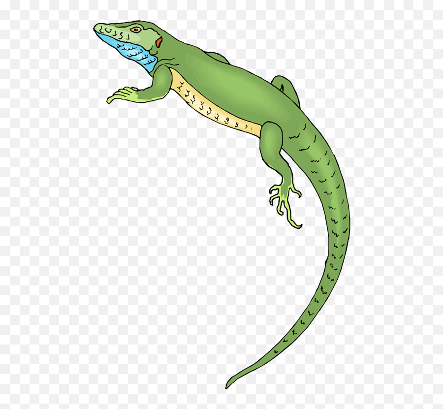 Lizard Clipart No Background - Transparent Background Lizard Clipart Emoji,Gecko Emoji