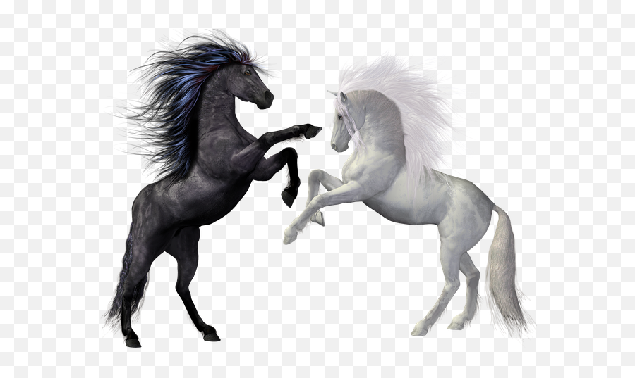 Free Photo Attack Fight Angry Kill - Max Pixel White Horse Rearing Up Png Emoji,Emoji Horse And Plane