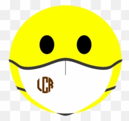 Designer Face Masks - Mobile Hairdresser Emoji