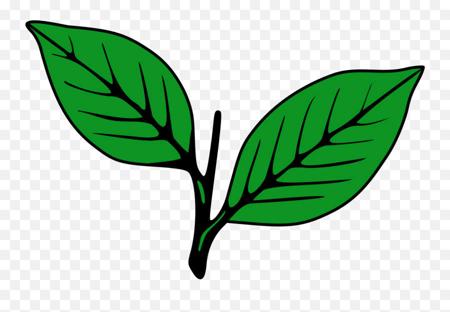 Indian Election Symbol Two Leaves - Kerala Congress Party Symbol Emoji,Leaves Emoji