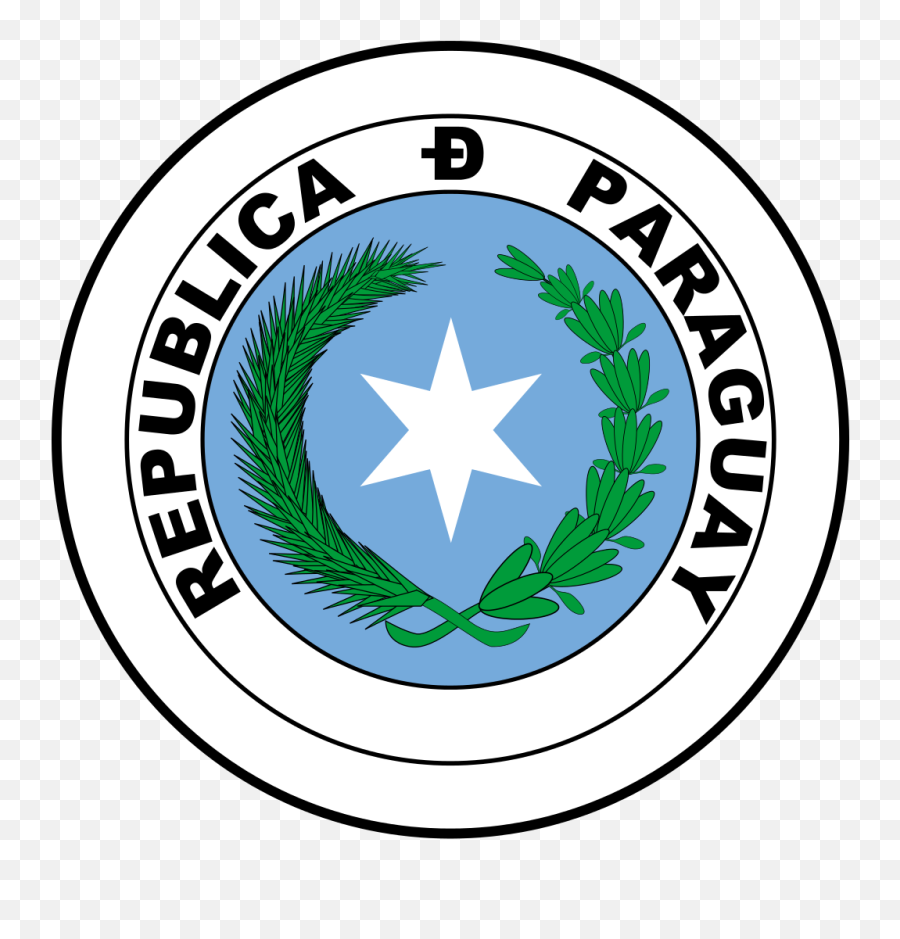 Doctor - Camara De Diputados Paraguay Emoji,Paraguay Flag Emoji