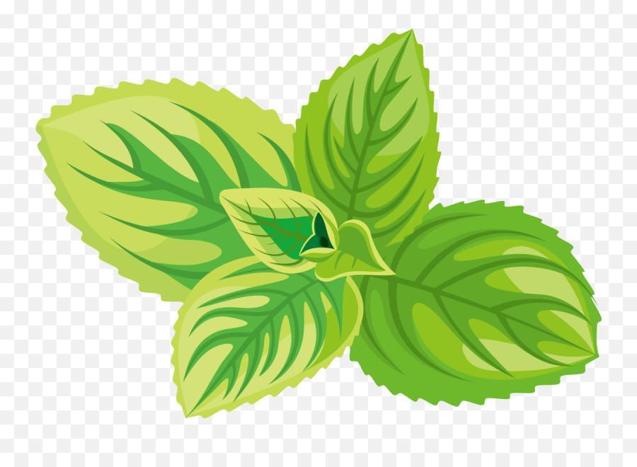 Png Black And White Download Herb Sticker Label Green - Herb Clipart Mint Leaf Png Emoji,Herb Emoji