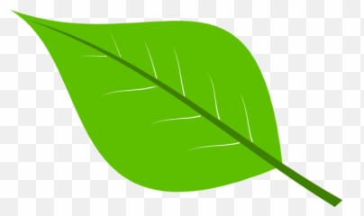 Free Download Large Green Leaves Clipart For Your Creation - Emoji