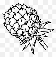 Maliny Obrázky - Blackberry Clip Art Emoji,Salt Emoji