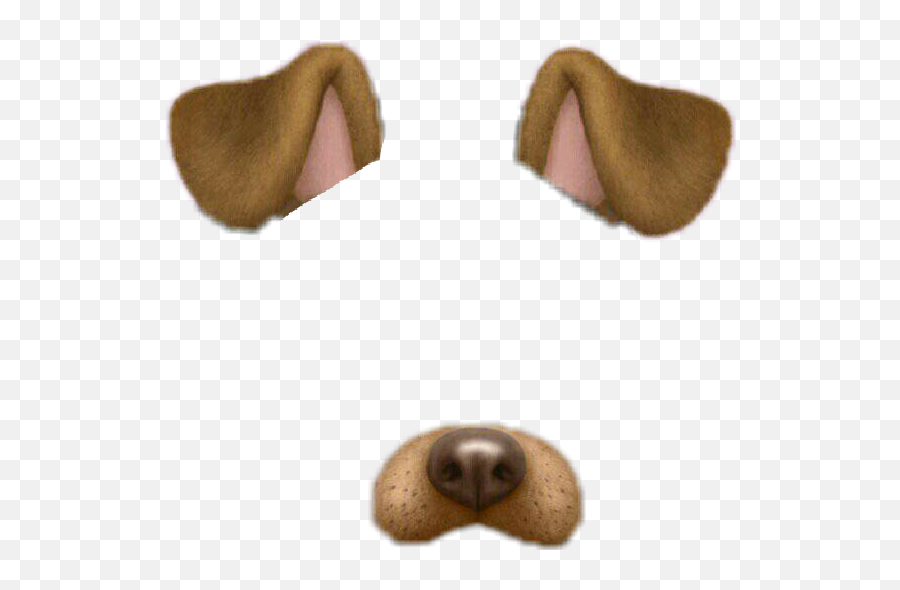 Snapchat Dog Stickers Ears Nose Brown Black Snappy Cool - Snapchat Dog Filter Template Emoji,Brown Nose Emoji