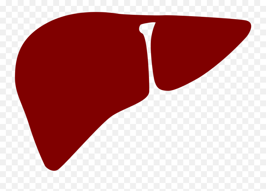Liver Clipart Transparent - Liver Clipart Png Emoji,Liver Emoji