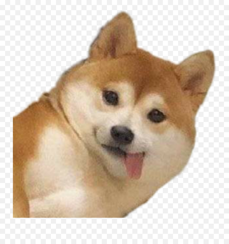 Edit - Doggo Doge Emoji,Shiba Inu Emoji