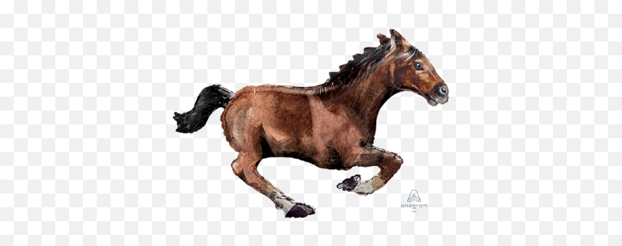 Horse Racing Party Supplies And - Galloping Horse Balloon Emoji,Flag Horse Dance Music Emoji