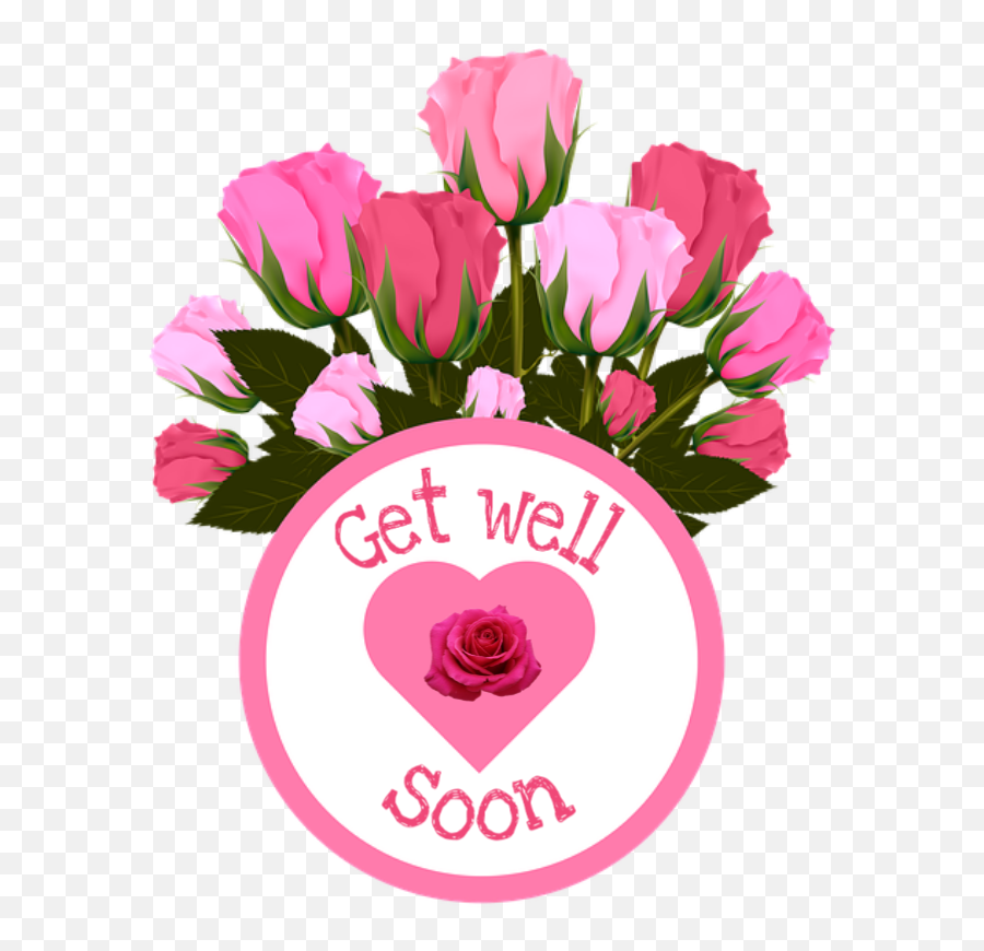Popular And Trending Get Well Soon Stickers On Picsart - Flower New Good Night Emoji,Get Well Soon Emoji