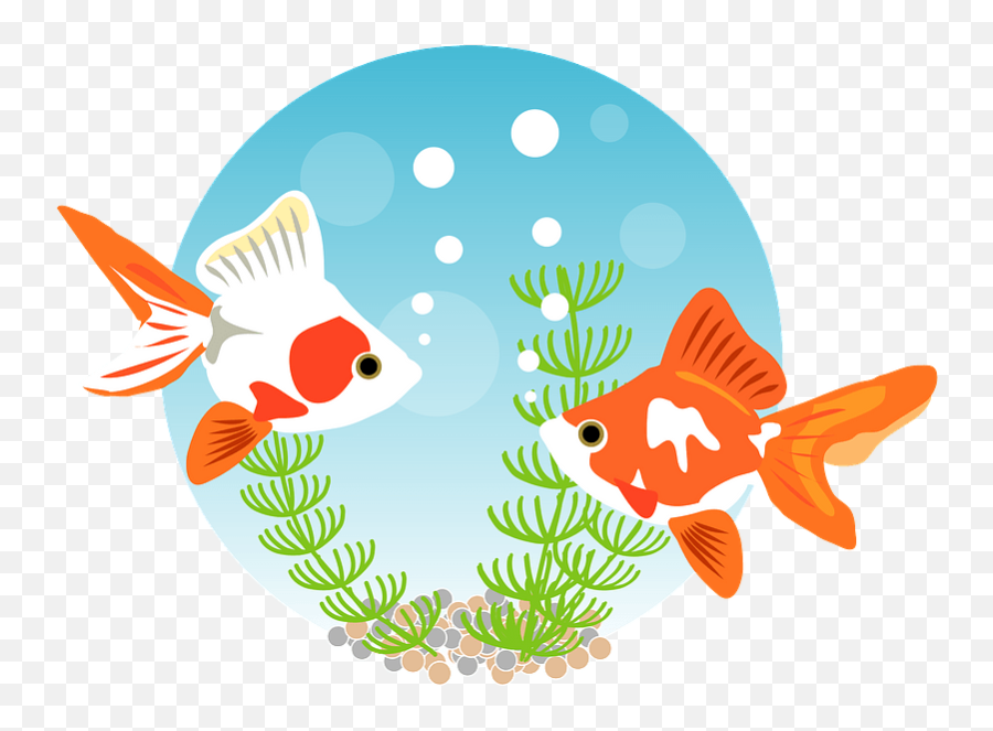 Goldfish Clipart Free Download Transparent Png Creazilla Emoji,Goldfish Emoji