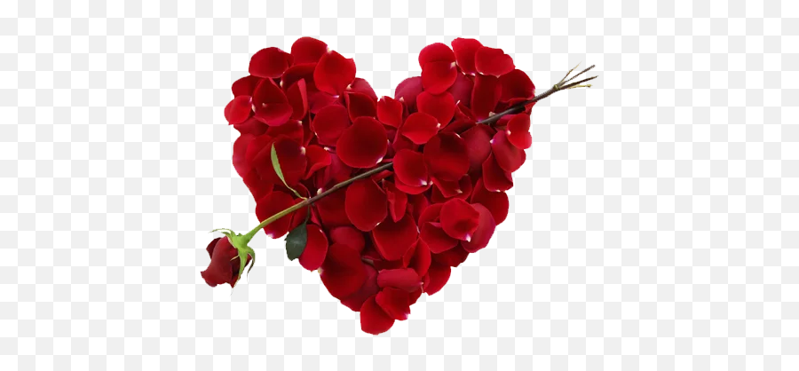 Rose Heart Png Free Download Png Mart - Day Flower Emoji,White Rose Emoji