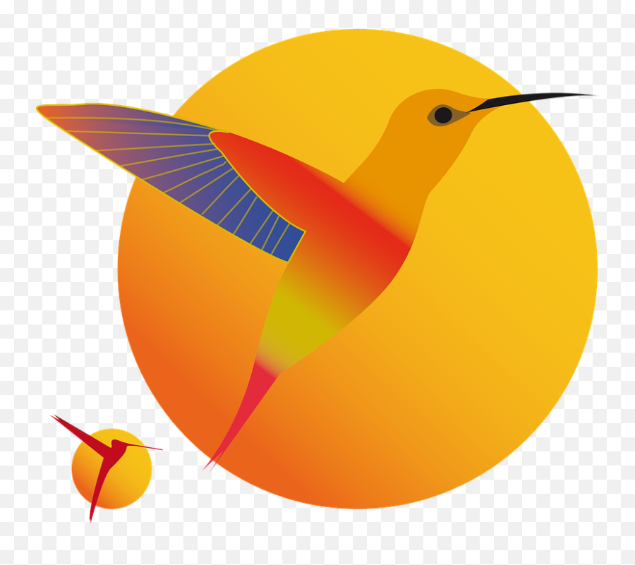 Beija Flor Imagens - Hummingbird Emoji,Boxing Emoticons