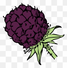 Maliny Obrázky - Blackberry Clip Art Emoji,Salt Emoji