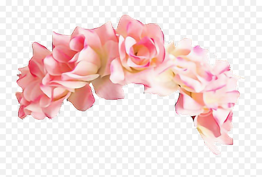 Pink Flower Crown Png Transparent - Pink Flower Crown Png Emoji,Snapchat Flower Emoji