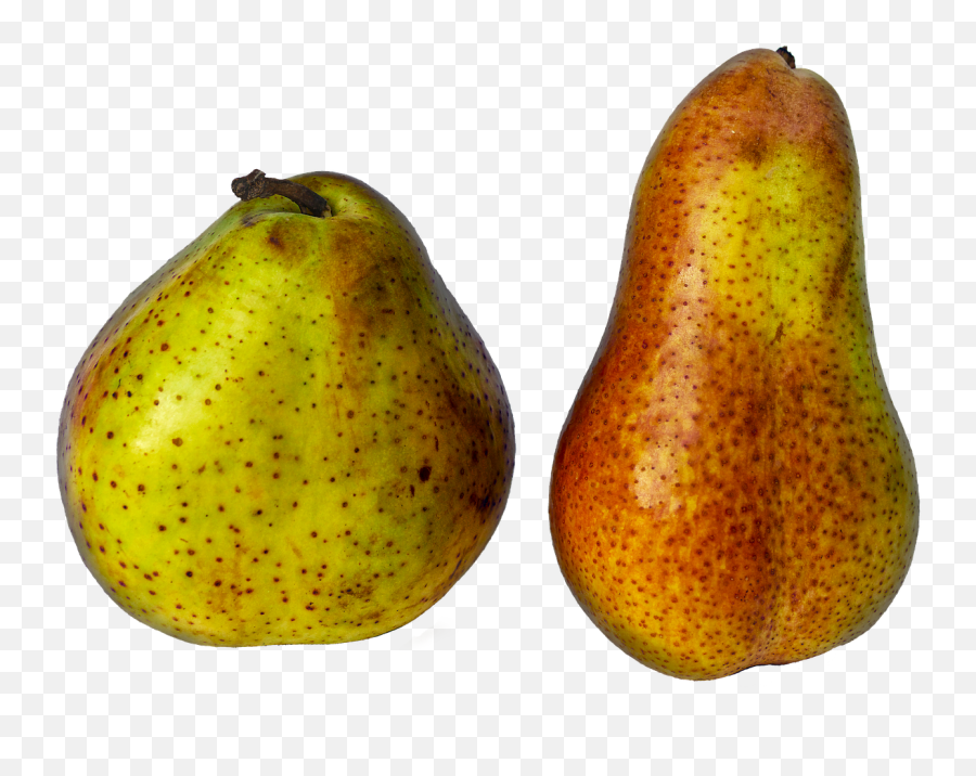 Pears Fruit Pome Fruit Round Length - Pear Emoji,Mango Fruit Emoji